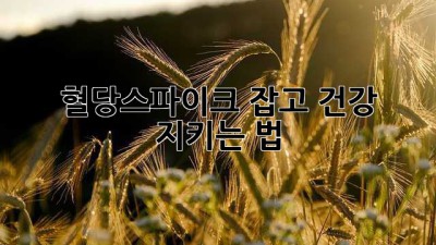 혈당스파이크🚨🚨 잡고 건강 지키는 법!