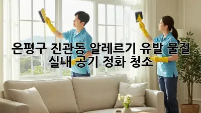 은평구 진관동 알레르기 유발 물질, 실내 공기 정화 청소