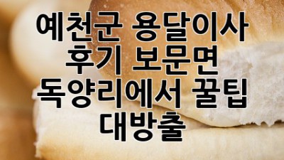 예천군 용달이사 후기🚚 보문면 독양리에서 꿀팁 대방출🍯